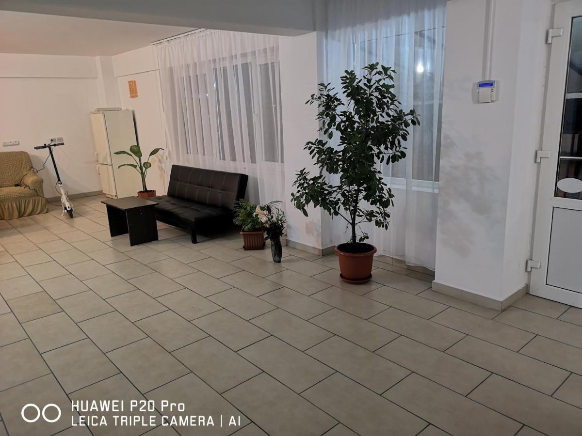 Vila Axel コスティネシュティ エクステリア 写真